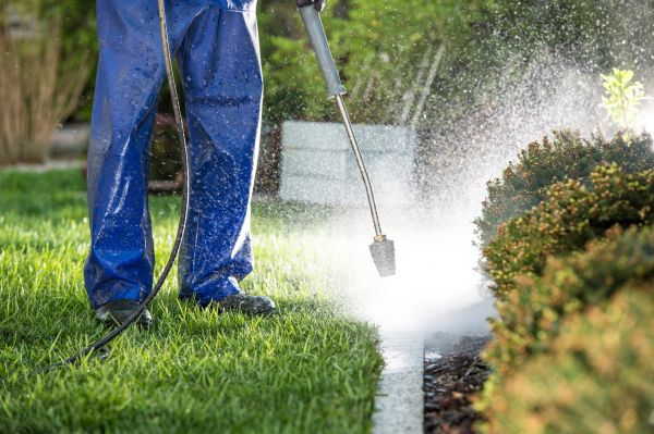 Curb Cleaning in Yakima