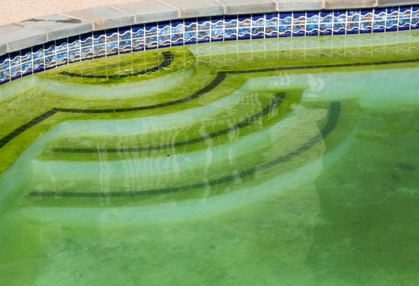 Pool Deck Algae Removal in Yakima