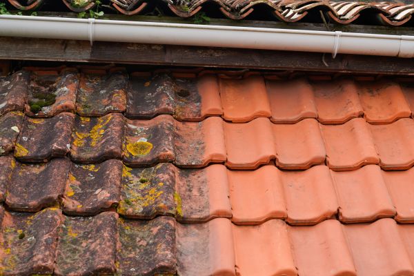 Industrial Roof Cleaning in Yakima