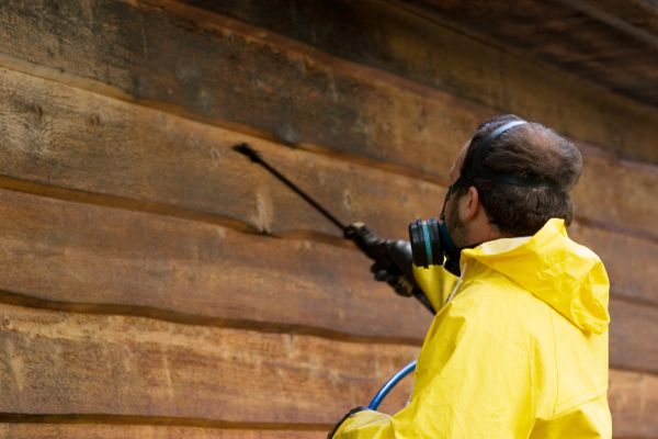 Cedar Siding Washing in Yakima
