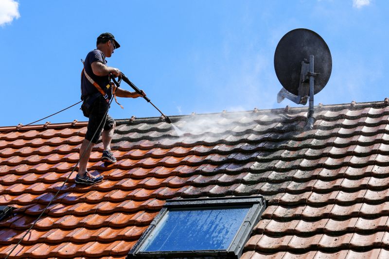 Roof Cleaning Professionals